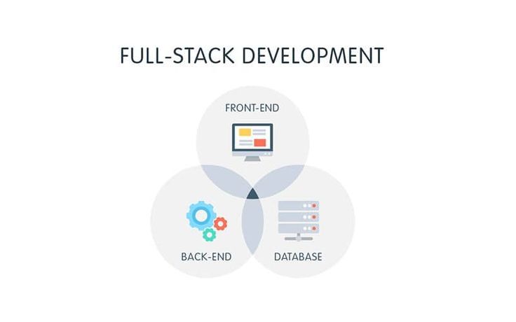 Frontend Web Development (HTML, CSS, JS, React)